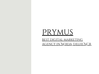 Prymus Best digital marketing agency in Noida, Delhi NCR