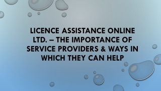 Licence Assistance Online Ltd  The Importance of Service Providers & Ways in Which They Can Help