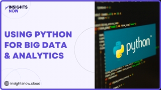 Python for Big Data and Analytics| insights now