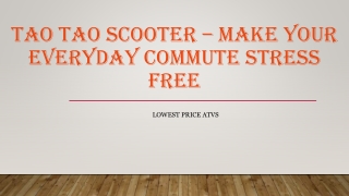 Tao Tao Scooter – Make Your Everyday Commute Stress Free