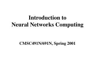 Introduction to Neural Networks Computing