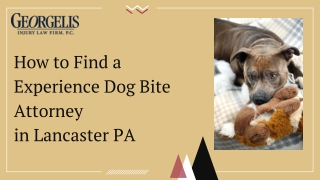 How to Find an Experience Dog Bite Attorney in Lancaster PA