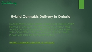 Hybrid Cannabis Delivery in Ontario  Candelivery.online