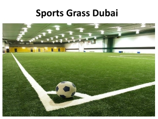 Sports Grass Dubai