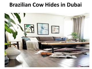 Brazilian Cow Hides in Dubai