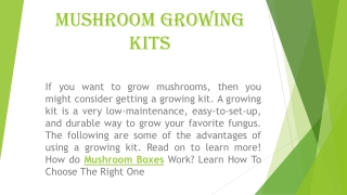 Mushroom Growing Kits boxes