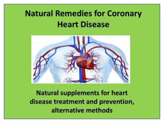 Maintaining Good Cardiovascular Health