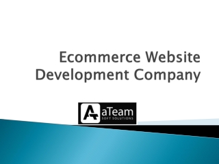 Ecommerce Application Development Services