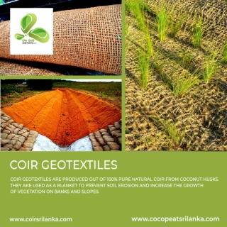 Coir Geotextiles