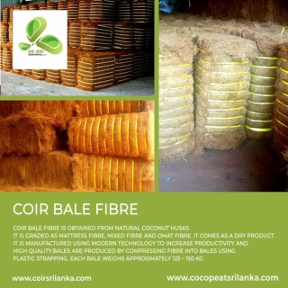 Coir Bale Fibre
