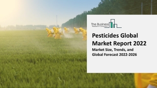 Pesticides Market Outlook Through 2031 – Opportunities, Strategies For Expansion