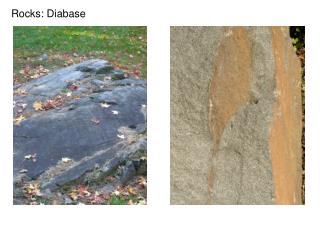 Rocks: Diabase