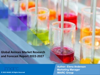 Amines Market PDF: Research Report, Share, Size, Trends, Forecast by 2027