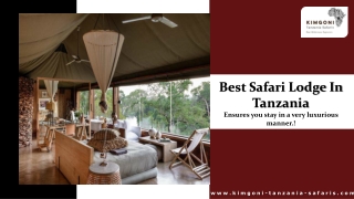 Best Safari Lodge In Tanzania