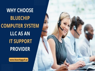 Bluechip Computer System LLC as an IT Support Provider