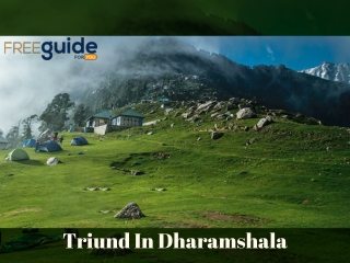 Triund In Dharamshala – A Quick Trekking Guide For You
