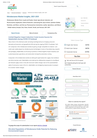 Nitrobenzene Market _ Global Industry Report, 2031
