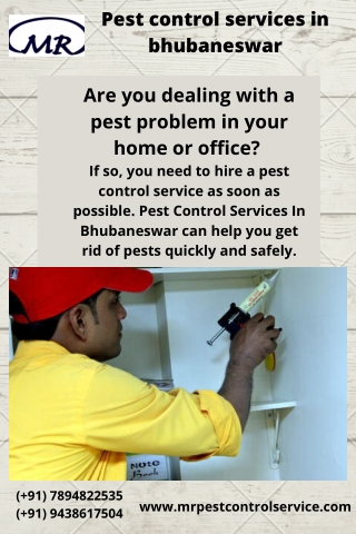 Efficient & Eco-Friendly Pest Control Services In Bhubaneswar | MR Pest Control