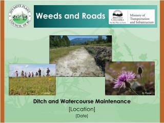 Ditch and Watercourse Maintenance [Location] [Date]