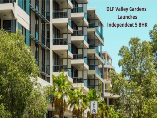 DLF Valley Gardens Independent Floors With Forest Themed Development