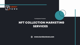 NFT Collection Marketing Services by Turnkeytown