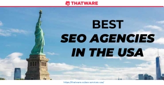 Best SEO Agencies in the Usa - Thatware