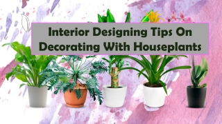 Interior Designing Tips on Decorating With Houseplants