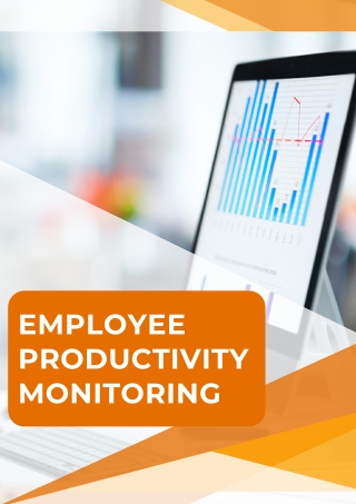 Employee Productivity Monitoring