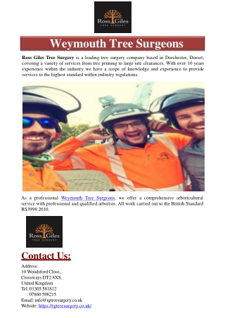 Weymouth Tree Surgeons
