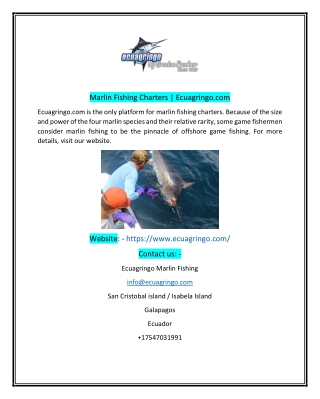 Marlin Fishing Trips  Ecuagringocom