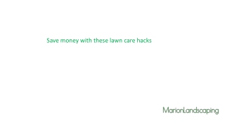 Get the Best landscaping services in Marin County