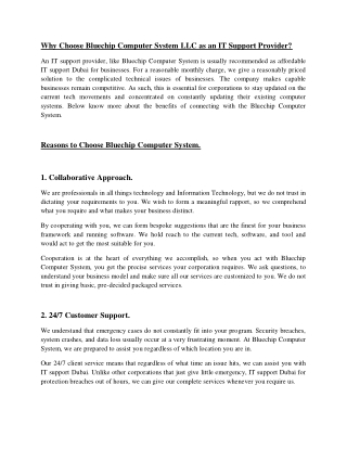 Why Choose Bluechip Computer System LLC as an IT Support Provider