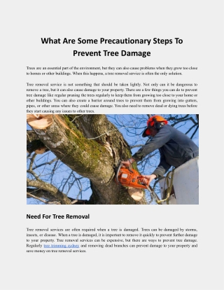 What Are Some Precautionary Steps To Prevent Tree Damage