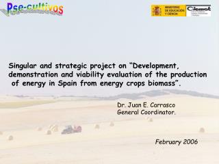 Singular and strategic project on “Development, demonstration and viability evaluation of the production of energy in S