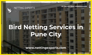 Bird Netting Services in Pune City - Netting Experts