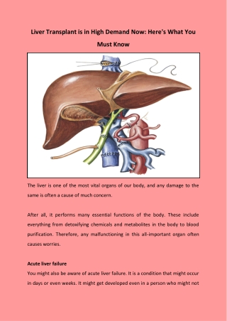 Liver Transplant is in High Demand Now: Here's What You must know