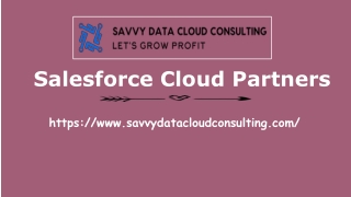 Salesforce Cloud Partners