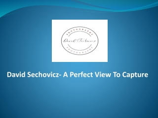 David Sechovicz- A Perfect View To Capture