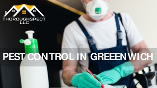 Dead Rodent Removal - Thoroughspect LLC