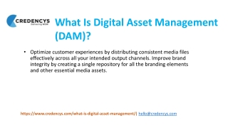 What Is Digital Asset Management