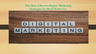 The Most Effective Digital Marketing Strategies by David Sechovicz