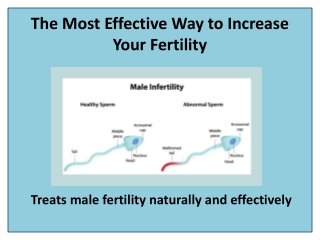 Promote Male Reproductive Health for Fertility