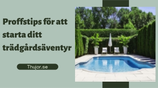 Proffstips för att starta ditt trädgårdsäventyr