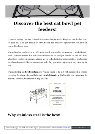 The Best Cat Bowl Pet Feeders For Pets | Artisans Village