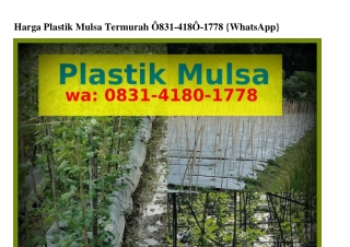 Harga Plastik Mulsa Termurah 0831_ㄐ180_1ᜪᜪ8{WhatsApp}