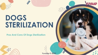 Pros And Cons Of Dogs Sterilisation