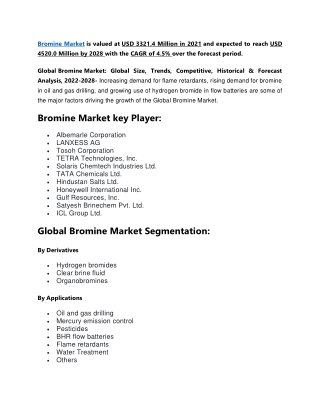 Bromine Market