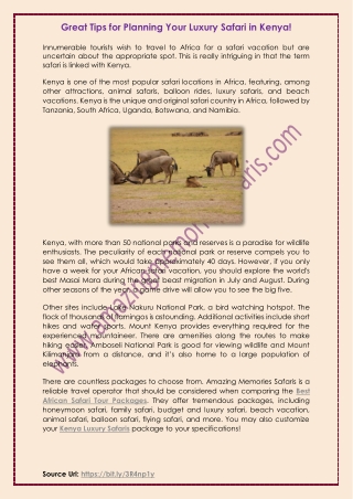 Great Tips for Planning Your Luxury Safari in Kenya!