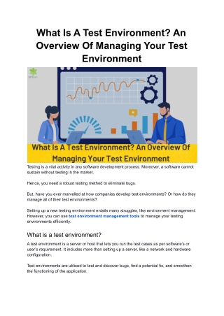 What Is A Test Environment_ An Overview Of Managing Your Test Environment