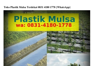 Toko Plastik Mulsa Terdekat